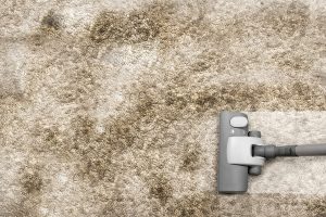 Vacuuming the carpet cleaning lancaster-pa Carpet Spot Removal